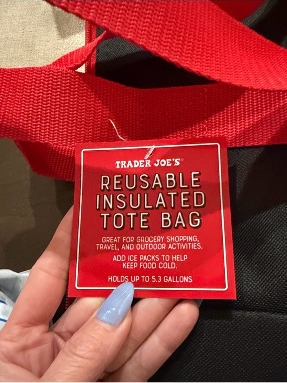Trader Joe's Red Reusable Insulated Tote Bag
